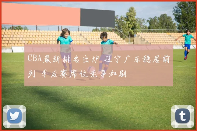 CBA最新排名出炉 辽宁广东稳居前列 季后赛席位竞争加剧