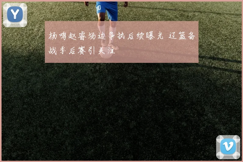 杨鸣赵睿场边争执后续曝光 辽篮备战季后赛引关注