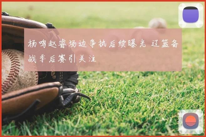 杨鸣赵睿场边争执后续曝光 辽篮备战季后赛引关注