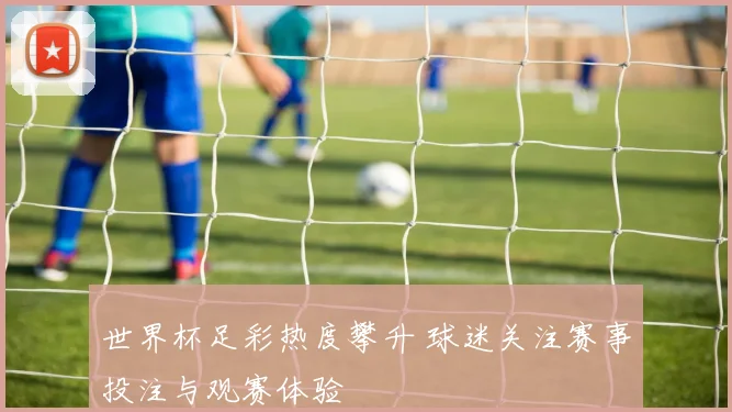 世界杯足彩热度攀升 球迷关注赛事投注与观赛体验
