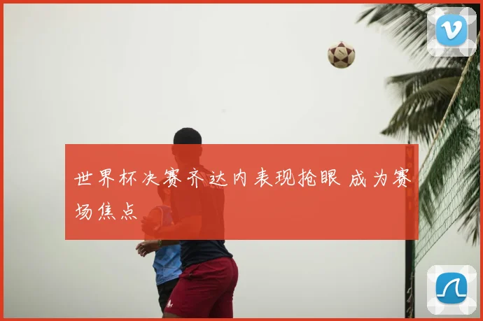 世界杯决赛齐达内表现抢眼 成为赛场焦点